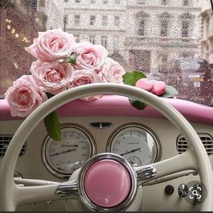 Meet your Posher, Arely